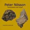 Peter Nilsson - Conversations with myself 3