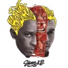 Chris Brown、Young Thug - Say You Love Me (Explicit)