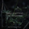 Sleeping Music、Sleep Sounds of Nature、Saludo al Sol Sonido Relajante - Dreaming Together