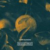 el.、Thorn.vii - Algorithm