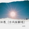 自若然 - 如愿