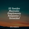 Canciones de Cuna Relax、Meditación、Meditacao Clube - Caída De Lluvia