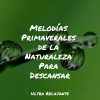 Natureza Musica Bem-Estar Academia、Especialistas de Musica para Dormir、Fabricantes De Lluvia《Reflexiones Internas》[MP3/LRC]