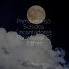 Música relajante con sonidos de la naturaleza、Sons da natureza HD、Música De Relajación Para Dormir Profundamente - Paz Y Luz