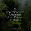 Relajación Meditar Academie、Musica para Meditar Especialistas、Música Relajante para Bebés - Encontrar la Calma