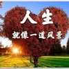 周烁人 - 过好当下