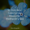 Massagem Guru、Jazz Para Crianças、Musicas Crianças - Descanso Consciente