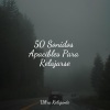 Sueño Profundo、Sonido de lluvia、Masajes Spas - Bañado Por La Luz De La Luna