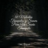 Unidad de música zen relajante、Piano Suave Relajante、Relajantes sonidos de lluvia - Domingo Relajado