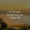 Sons da Natureza & Relaxamento、Massagem Guru、Musicas Crianças - Ángeles En El Cielo