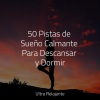 Natureza Musica Bem-Estar Academia、Sons da Natureza & Relaxamento、Academia de Música con Sonidos de la Naturaleza - Flor Floreciendo