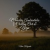 Musica Relajante & Yoga、Música a Relajarse、Música para Meditar y Relajarse - Cascadas Relucientes