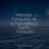 Sons da Natureza & Relaxamento、Escola de Meditação、Musica Para Dormir - Tomando El Sol en El Playa