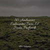 Masaje Relajante Masters、Sonido Del Bosque y Naturaleza、Sons da Natureza & Relaxamento - Estudio De Las Estrellas