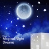 The Sleep Principle《Music for Magical Night Dreams, Pt. 1》[MP3/LRC]