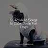 Music for Pets Library、Music for Leaving Dogs Home Alone、Music for Dog's Ears - Starting Today