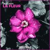 Skilsara - La Fleur (Extended Mix)
