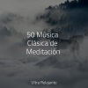 Musica Relajante Piano Master、Dulces Sueños、Musica para Dormir 101 - Suave Como La Seda