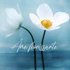 Oasis de Sommeil - Laissez votre âme s'épanouir