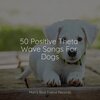 Music for Dog's Ear、Music for Pets Library、Music for Leaving Dogs Home Alone - Starting Today