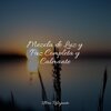 Musica para Massagem Especialistas、Relajante Academia de Música Zen、Massagem Guru - Ruiseñor