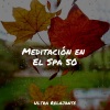 Saludo al Sol Sonido Relajante、Dormir Mucho、Música Instrumental Maestro - Despertando