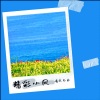 清风白衣 - 毁过的青春