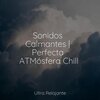 Masajes Spa、Musica Relajante New Age Culture、Música Zen Relaxante - Campos De Sueños Dorados