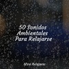 Canciones De Cuna Para Dormir Bebes、Academia de Relaxamento e Meditação、Sonido Del Bosque y Naturaleza - Una Tormenta Para Calmar