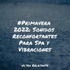 Musica Para Dormir y Sonidos de la Naturaleza、Sonido Del Bosque y Naturaleza、Especialistas de Musica para Dormir - Escalofrió En La Chimenea