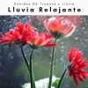 Sonidos De Truenos y Lluvia《Duerme con Ruido Relajante de Tormenta Calma》[MP3/LRC]