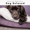 Music for Dog's Ears - Enter Forest of Dog Sleep for Deep Rest pt. 3