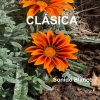Sonido Blanco、Carlos Martos、Maša Mujic: Clarinete、Juan Andrés Carmona: Violín - Clarinete & Carlos Martos)