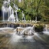 stanley - Enchanted Forest (Extended Version)
