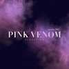 小晶《Pink Venom》[MP3/LRC]