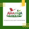 Amazônia Samba、grupo fundo de quintal - Pudim de Coco