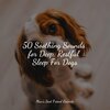 Music for Leaving Dogs Home Alone、Music for Dog's Ears、Relaxing Music for Dogs - Starting Today