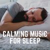 ASMR Sleep Sounds - Calm Summer Ambient Sounds, Pt. 20