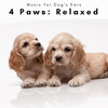 Music for Dog's Ears、Dog Total Relax - Be Ready for Total Relax with Unique Sounds pt. 3