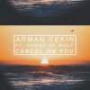 Arman Cekin、House of Wolf - Cancel on You (Explicit)