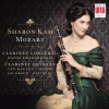 sharon kam、Österreichisch-Ungarische Haydn Philharmonie - I. Allegro