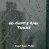ambient arena、Water Soundscapes、Rainy Sounds - Medium Campfire