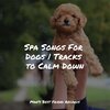 Music for Dog's Ear、Music for Pets Library、Music for Leaving Dogs Home Alone - Starting Today