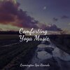 Nature Sounds for Concentration、Sleep Songs 101、Rain Sounds Rain - Calming New Age