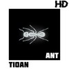 Tioan - Ant