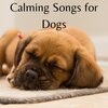 Pet Sandman、Calming Puppy Music - Calming Canine (feat. Calming Puppy Music)