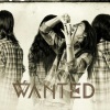 WANTED fokker - No 1