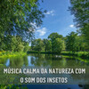 Estudo Ondas Alfa、Suave Música para Dormir、Musica De Spa - Natureza Próxima