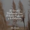 Meditacao Clube、Entrenamiento Autògeno y Meditación Specialistas、Meditação Yoga Maestro - Aventuras Mentales