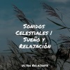 Massagem Guru、Música para Relaxar Maestro、Master Meditação - Emociones Verdaderas